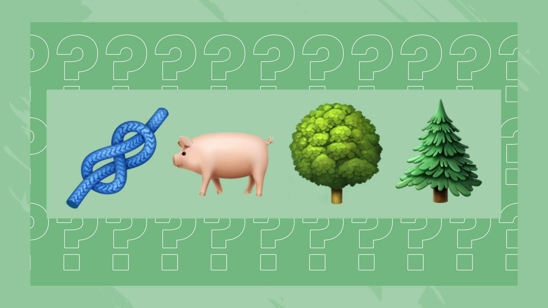 际舞台上大 际舞台上大